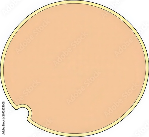 Floating Peach Colored Circle Shape with a Small Bite Taken Out
