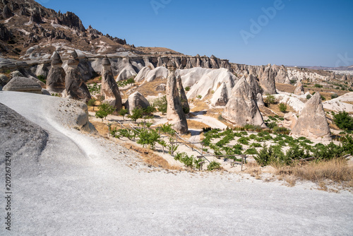 fairy chimneys and mountain in Pasabag, cappadocia on a summer day.