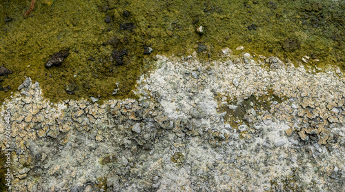 Konstfotografi Textured surface showing vibrant green algae and dry cracked earth, creating a s