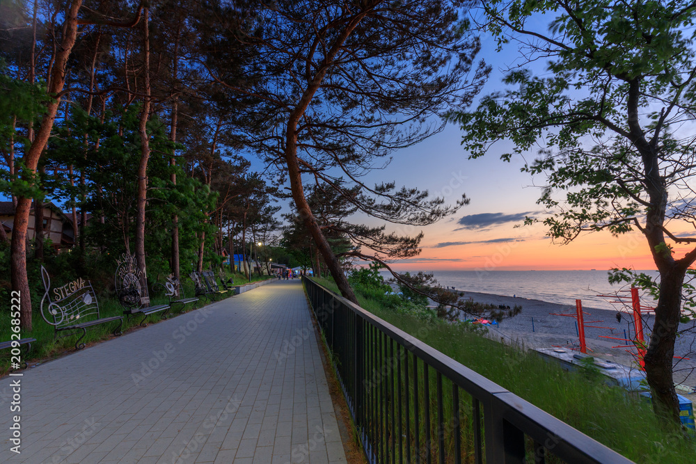 Naklejka premium Beautiful pine boulevard by the Baltic Sea in Stegna at sunset, Poland