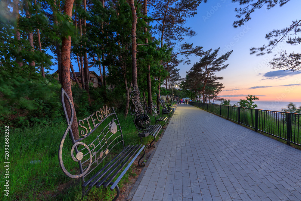 Naklejka premium Beautiful pine boulevard by the Baltic Sea in Stegna at sunset, Poland