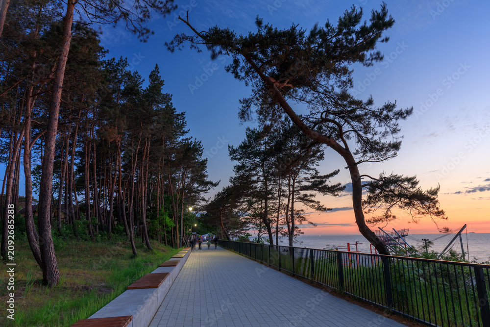 Naklejka premium Beautiful pine boulevard by the Baltic Sea in Stegna at sunset, Poland