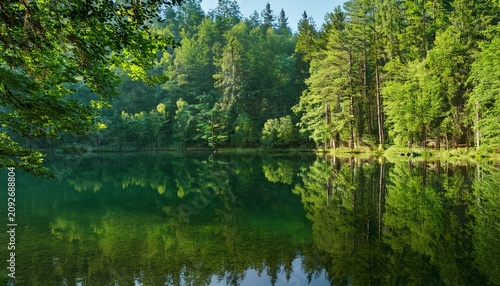 Lush Green Forest Edge And Trees Reflected In Clear Shallow Lake Water Wide Horizontal Nature Photography With Copy Space A Lush Green Forest Edge With Dense Trees And Foliage Reflected In The Water