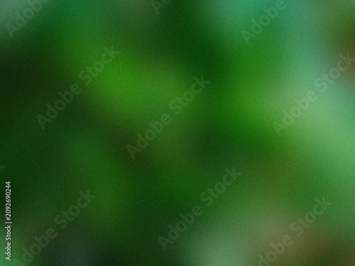 Photos Soft Focus Close Up of Vibrant Green Foliage with Natural Light Bokeh Background
