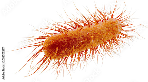 Quadro su tela Orange rod-shaped bacterium with numerous flagella, isolated on transparent back
