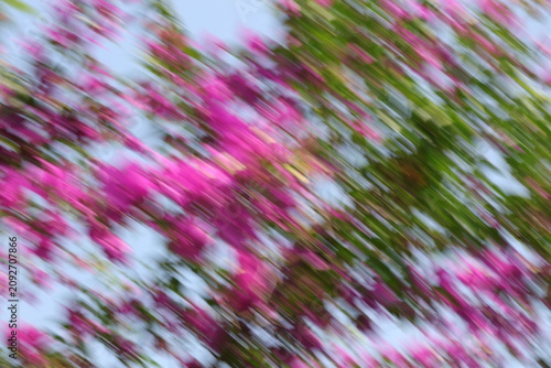 Abstract diagonal motion blur background of pink bougainvillea flowers and green leaves against a bright sky, dynamic artistic nature panning effect.