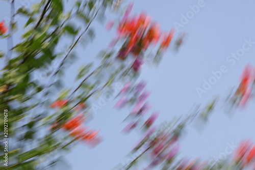Foto Abstract motion blur background of red flowers and green leaves, intentional camera movement panning effect creating a dynamic natural texture with copy space