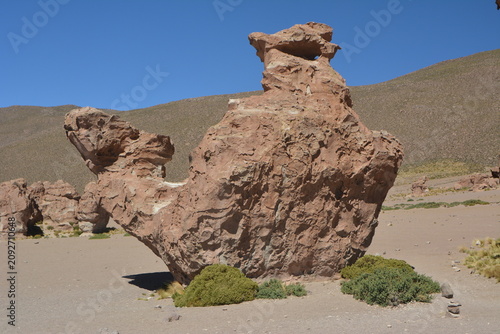 Fotografie Atacama Desert Landscapes in Northern Chile. Bolivia

Description