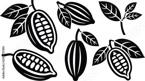 Foto Collection of raw cocoa pods and cacao beans vector illustration.