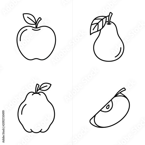 Apple Pear Quince Fruit Icons - Simple Line Art Illustration