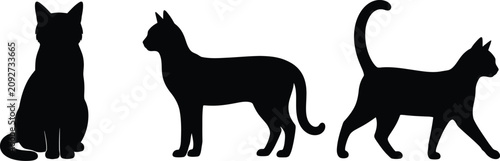 Fényképezés Cat silhouettes in different poses and positions with silhouette isolated standi