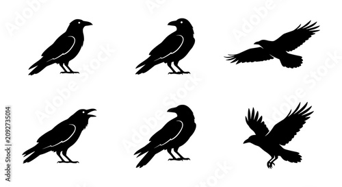 Foto Black Raven Silhouettes, Bird Icons Set, Flying and Perching Crows