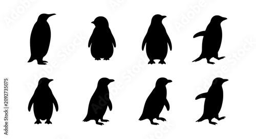 Fotografie Penguin Silhouettes Collection: Antarctic Wildlife Vector Set