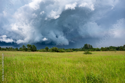 Storm clouds over a meadow