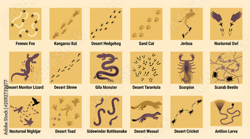 Fotografía Flat Design Vector Icons of Desert Nocturnal Creature Tracks and Silhouettes, In