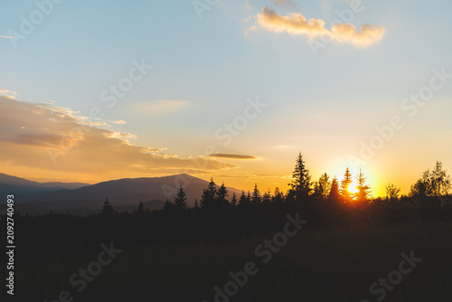 Beautiful sunset over the Carpathian mountains with sun rising or setting behind pine trees.