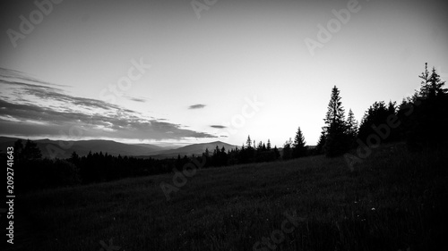 Beautiful mountain landscape at sunset with silhouette of large pine tree.