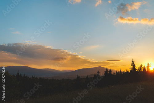 Beautiful sunset over the Carpathian mountains with sun rising or setting behind pine trees.