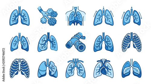 Fotografía Collection of Human Lungs and Respiratory System Anatomy Illustrations