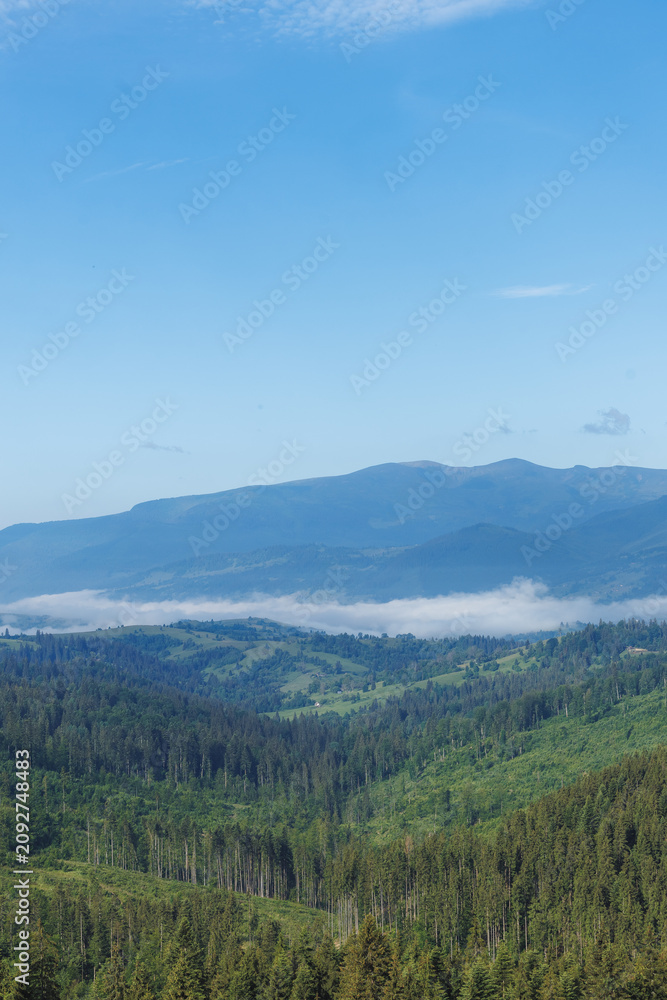 Fototapeta premium Scenic panoramic view of Carpathian mountains with foggy valley in morning light.