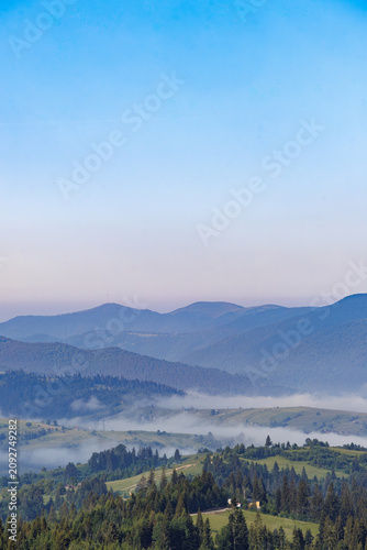 Beautiful mountain landscape at sunset with silhouette of large pine tree.