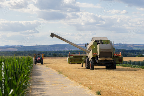 Combine Harvester Harvesting and Transporting Wheat Field on a Sunny Summer Farm with Agricultural Machinery and Rural Landscape Under Blue Sky