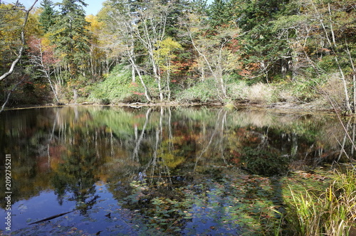 Mt.Soranuma-dake　in autumn color