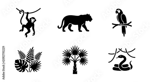 Photography Jungle Animals and Plants Vector Icons, Tropical Wildlife Silhouettes