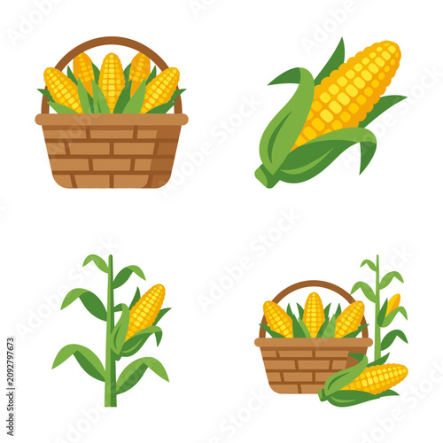 Set of flat corn harvest illustrations on white background