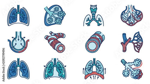 Fotografie Set of stylized illustrations of human lungs and respiratory system anatomy