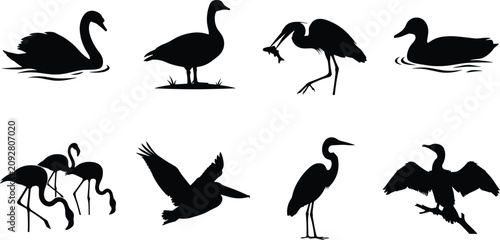 Bild auf Leinwand Water Bird Silhouette Collection with Swan Duck Heron Flamingo Goose and Cormora