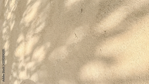 Photos A close-up view of a textured beige wall, with soft shadows created by sunlight filtering through leaves, adding depth and a natural aesthetic