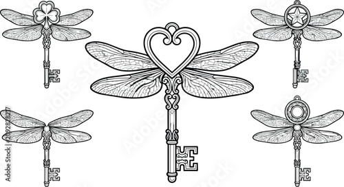 Intricate black and white dragonfly key vector illustration set isolated on transparent background