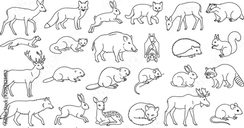 Photography Hand Drawn Woodland Animals and Forest Wildlife Outline Line Art Collection