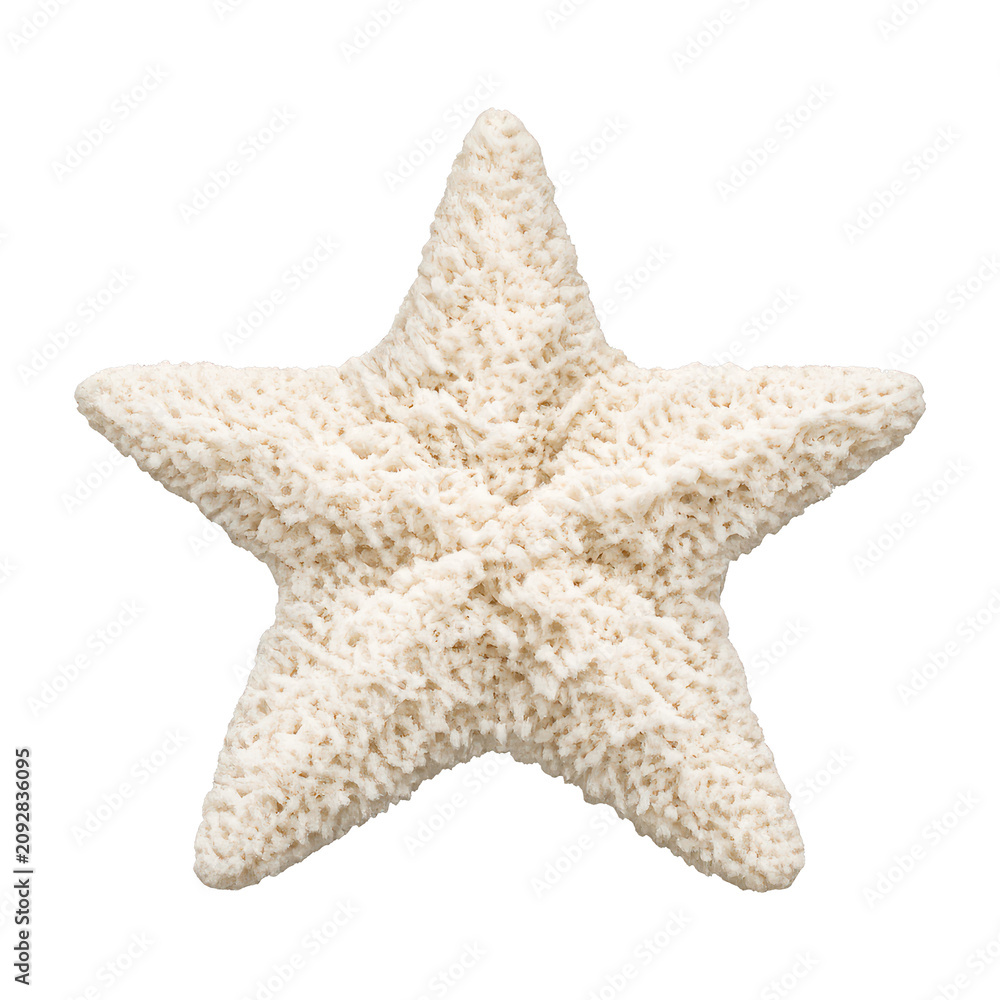 Obraz premium PNG Natural textured starfish decoration