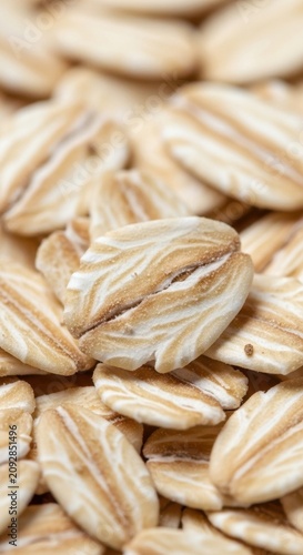 Close up of raw oat groats in natural light.