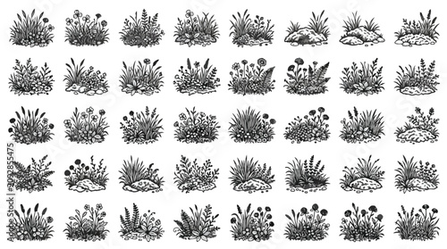 Foto Tropical flowers line art collection, 14 botanical vector icons, exotic floral s