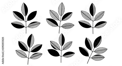Six Stylized Black and White Leaf Illustrations.