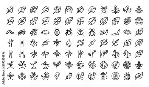 Cuadro en lienzo Plant Disease and Pest Icons Collection Editable Stroke Vector Set