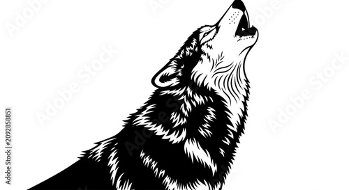 Foto Wolf howling at the moon alone.