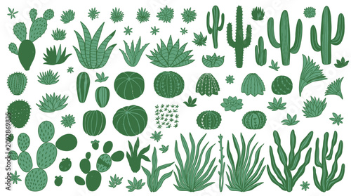 Eine umfangreiche Sammlung von handgezeichneten Kakteen und Sukkulenten in verschiedenen Formen und Größen auf weißem Hintergrund für botanische Designs.