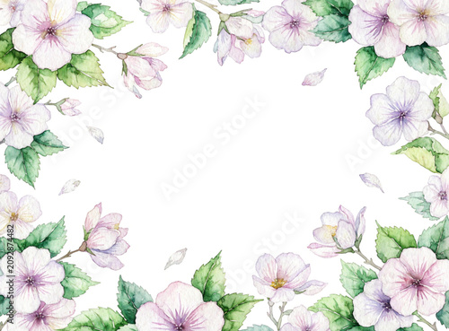 Watercolor spring floral frame with delicate pink blossoms and leaves isolated on white background