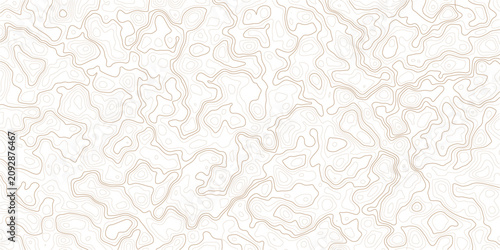 Brown topographic map lines on white background for design purposes  abstract pattern