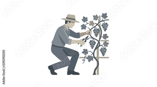 Foto Man pruning a grapevine plant carefully.