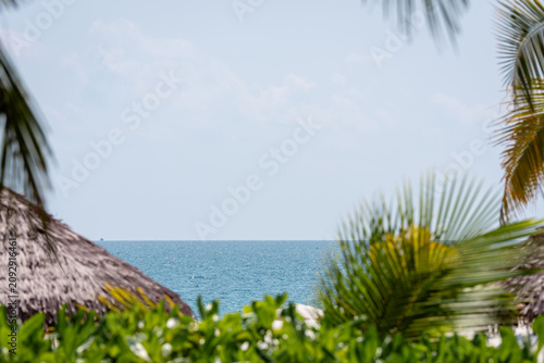Photos Tropical beach scene framed by palm leaves with thatched huts and calm blue ocea