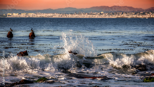Konstfotografi Coastal wave crashes against rocks with birds perched offshore near Palos Verdes