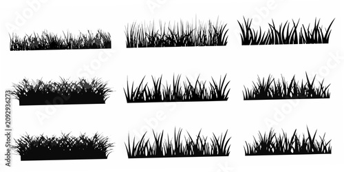 Cuadro en lienzo Black Silhouette Illustrations Of Grass Tufts On White Background