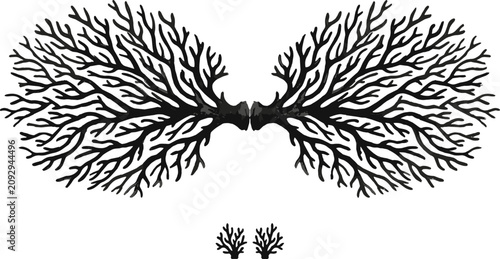 Obraz na płótnie Symmetrical black and white sea coral vector design element with smaller matching branch icons underneath