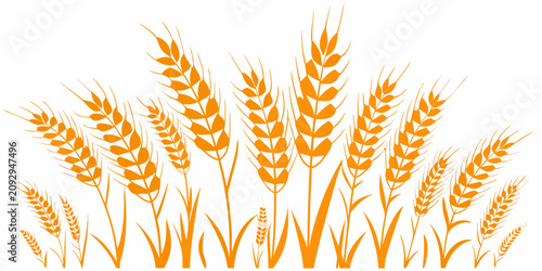 Fotografie Wheat Grain Stalks Orange Vector Illustration On White Background