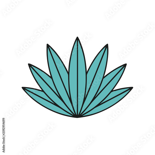 Teal Agave Plant Illustration